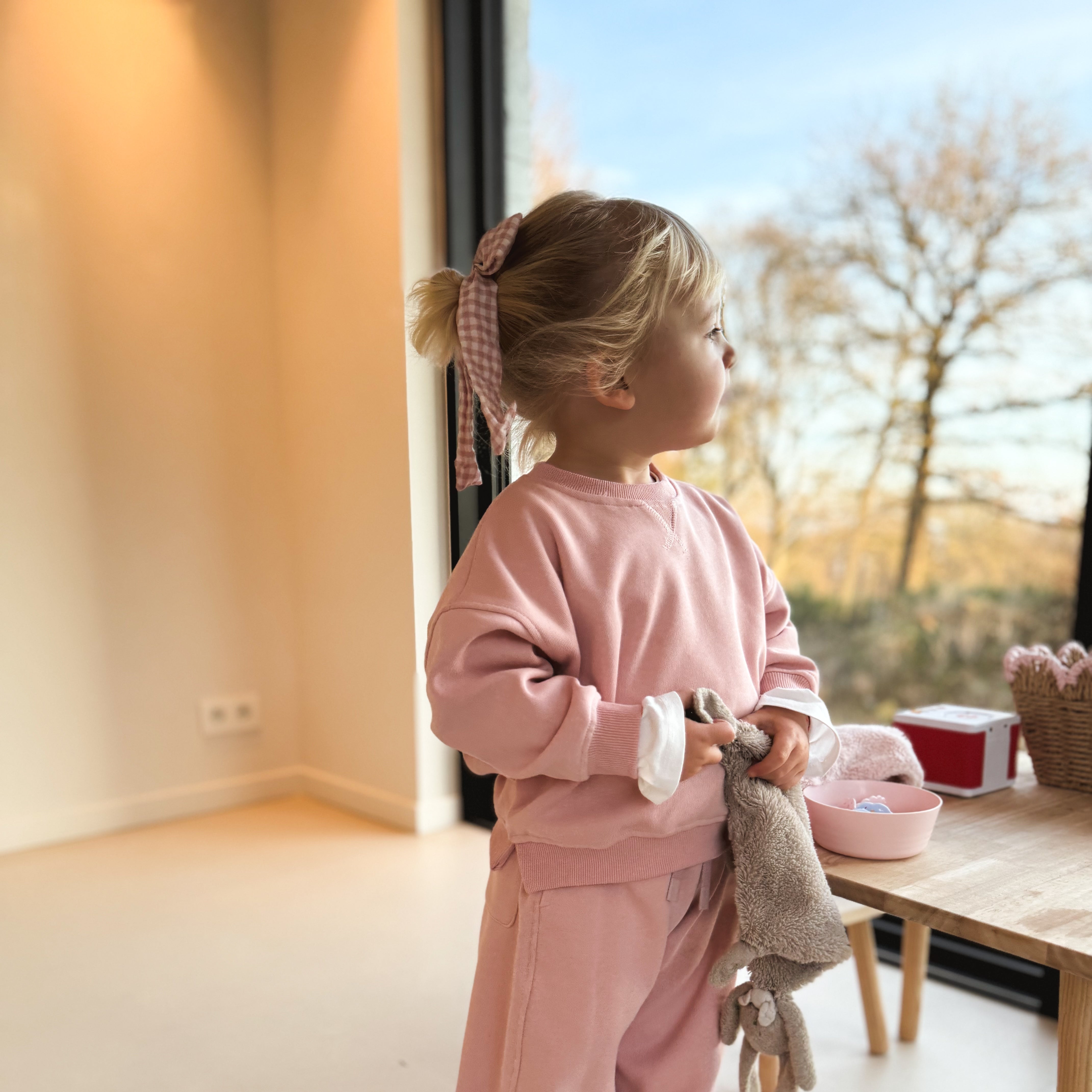 Ensemble mini LALY