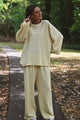 Ensemble SAMIA