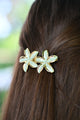 Pince ELSA