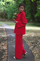 Ensemble SAMIA